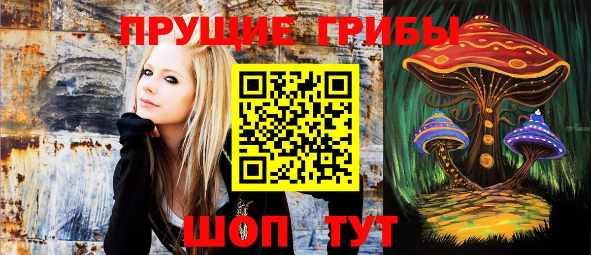 Псилоцибиновые грибы ЛСД Ростов-на-Дону