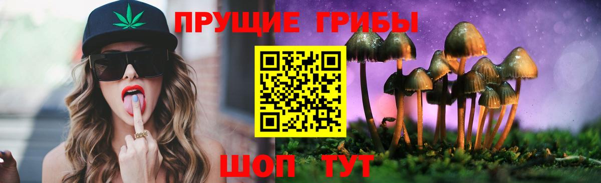 Галлюциногенные грибы мицелий  Псилоцибиновые грибы Magic Shrooms  Вход с VPN  как найти наркотики  Ростов-на-Дону 