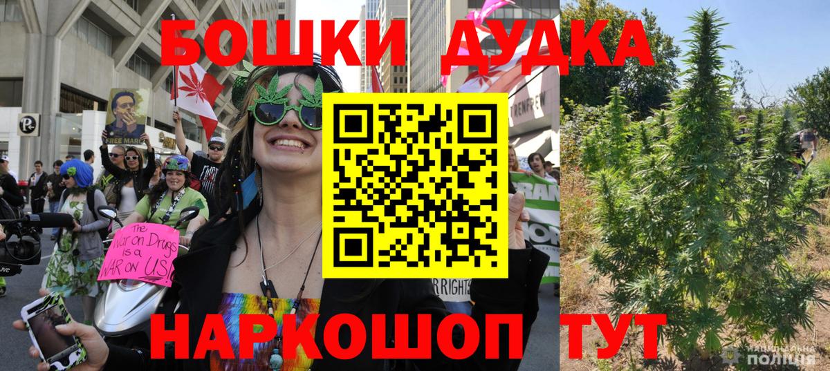 Бошки марихуана сатива Ростов-на-Дону